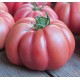TOMATE MONTEROSA INJ