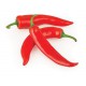 PIMIENTO PICANTE CHILE