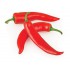 PIMIENTO PICANTE CHILE