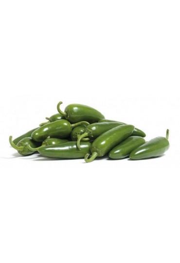 PIMIENTO PICANTE JALAPEÑO