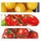 TOMATE CHERRY MIX