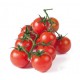 TOMATE CHERRY REDONDO