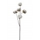 RAMA ALGODÓN ARTIFICIAL 67 CM  BLANCO