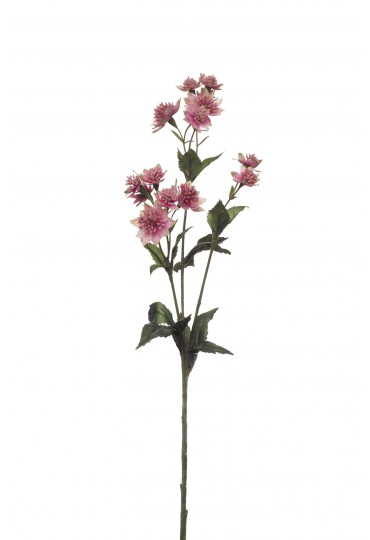 ASTRANTIA ARTIFICIAL 50CM  ROSA