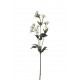 ASTRANTIA   ARTIFICIAL 50CM BLANCO 