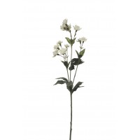 ASTRANTIA   ARTIFICIAL 50CM BLANCO 