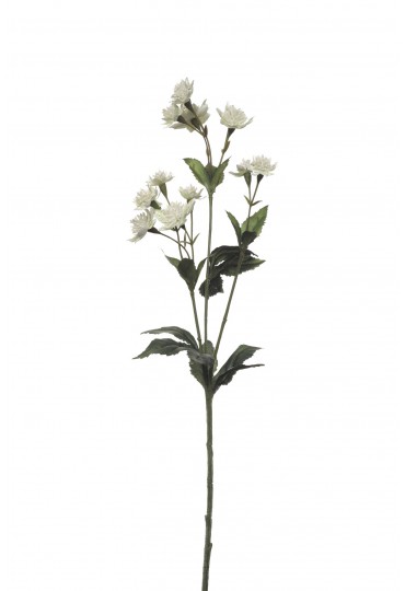 ASTRANTIA   ARTIFICIAL 50CM BLANCO 