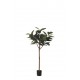 ARBOL FICUS RUBBER BOLA ARTIFICIAL 150CM VERDE 