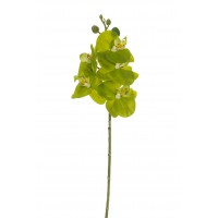 ORQUÍDEA SMALL LATEX ARTIFICIAL 47CM VERDE