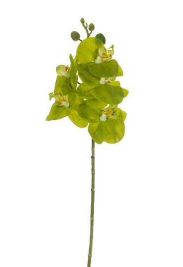 ORQUÍDEA SMALL LATEX ARTIFICIAL 47CM VERDE