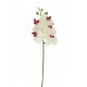 ORQUÍDEA SMALL LATEX ARTIFICIAL 57CM BLANCO/CL 