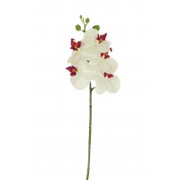 ORQUÍDEA SMALL LATEX ARTIFICIAL 57CM BLANCO/CL 
