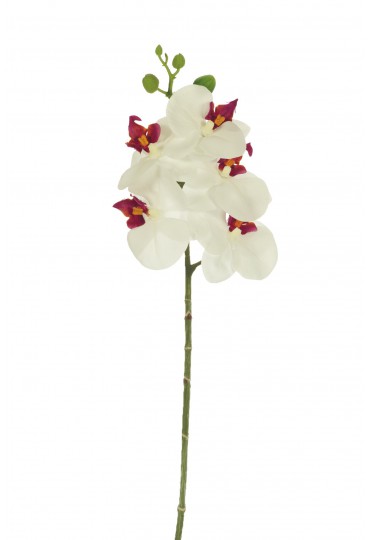 ORQUÍDEA SMALL LATEX ARTIFICIAL 57CM BLANCO/CL 