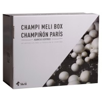 KIT AUTOCULTIVO CHAMPIÑON PARIS 