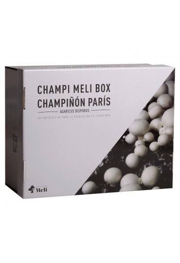 KIT AUTOCULTIVO CHAMPIÑON PARIS 