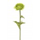 RANÚNCULUS ARTIFICIAL 40CM  VERDE