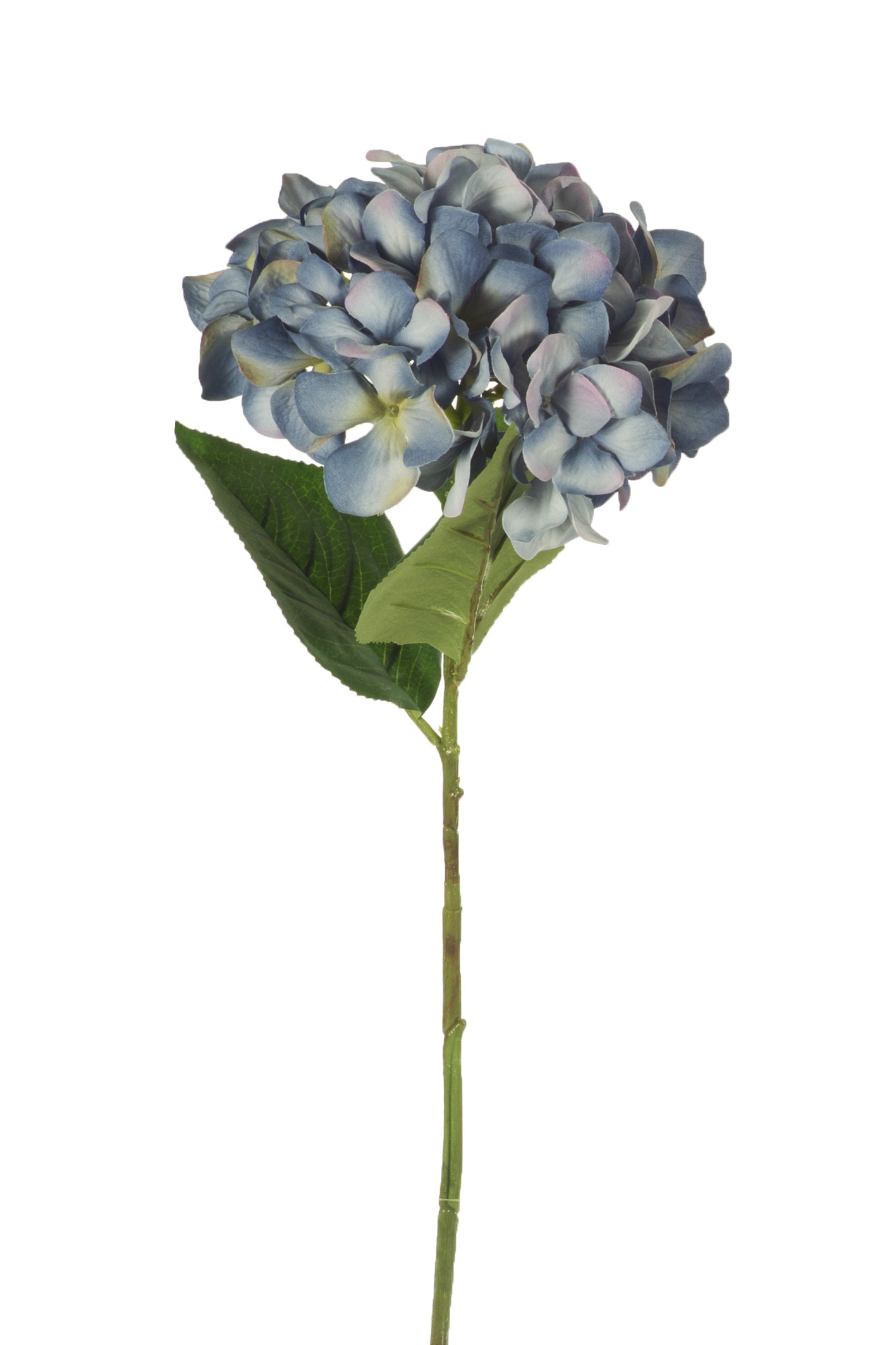 Álbum 200+ hortensia azul artificial