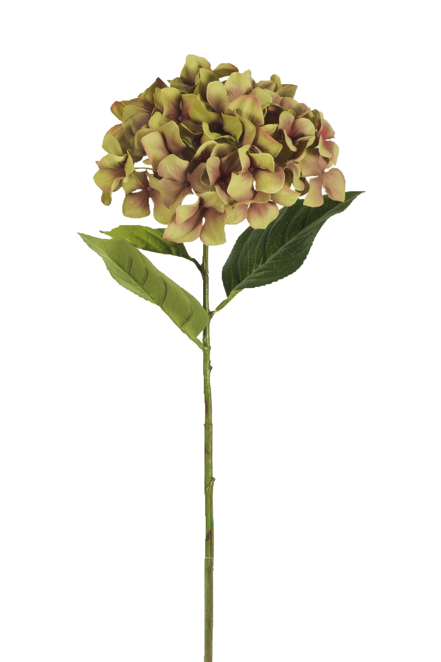 Flor y planta artificial suelta HORTENSIA ARTIFICIAL 68 CM VERDE | Mundo  Verde/Garden Center