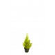 CIPRES ARTIFICIAL 32CM CEDAR VERDE PALIDO