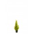 CIPRES CEDAR ARTIFICIAL 77CM VERDE PALIDO