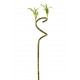 RAMA DRACAENA SANDERIANA ARTIFICIAL 69CM VERDE