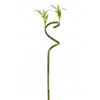 RAMA DRACAENA SANDERIANA ARTIFICIAL 69CM VERDE