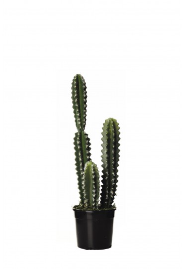 CACTUS HOONDIA ARTIFICIAL 60 CM VERDE