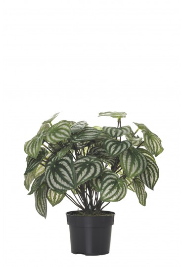 MATA PEPEROMIA ARTIFICIAL 28CM VERDE