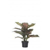 MATA DIFFEMBACHIA ARTIFICIAL 36 CM ROSA