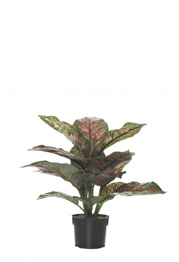 MATA DIFFEMBACHIA ARTIFICIAL 36 CM ROSA