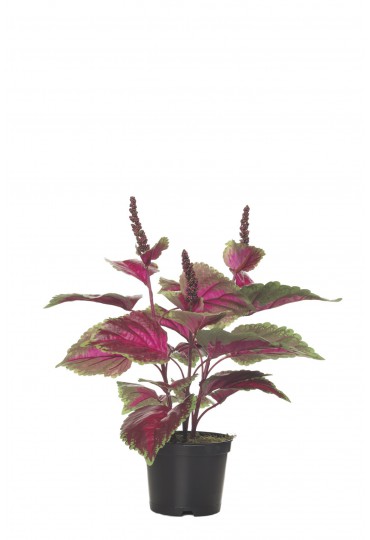 MATA COLEUS ARTIFICIAL 45 CM ROJO