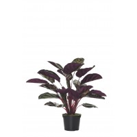 MATA CALATHEA REDONDA ARTIFICIAL 63 CM VERDE