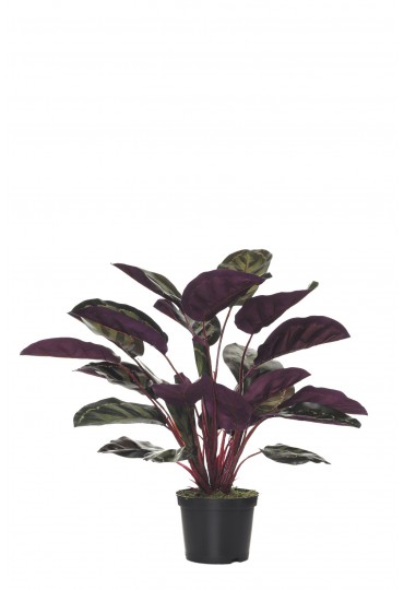 MATA CALATHEA REDONDA ARTIFICIAL 63 CM VERDE