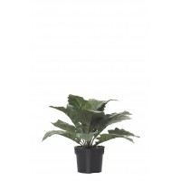 MATA ARGENTEA ARTIFICIAL 25CM VERDE