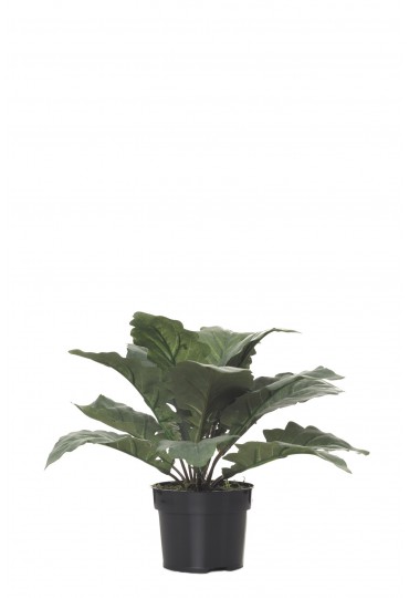 MATA ARGENTEA ARTIFICIAL 25CM VERDE