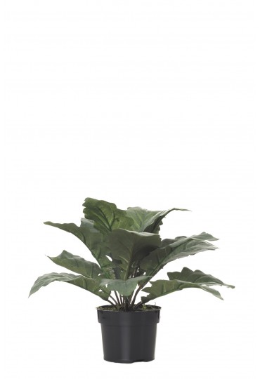 MATA ARGENTEA ARTIFICIAL 25CM VERDE