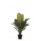 PLANTA DIFFEBACHIA MACETA ARTIFICIAL 87 CM VERDE