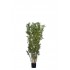 ÁRBOL BAMBÚ ORIENTAL ARTIFICIAL 120 CM VERDE