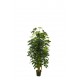 ÁRBOL SCHEFLERA ARTIFICIAL 120CM VERDE