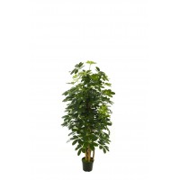 ÁRBOL SCHEFLERA ARTIFICIAL 120CM VERDE