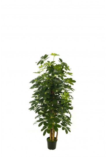 ÁRBOL SCHEFLERA ARTIFICIAL 120CM VERDE