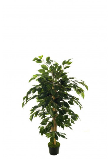 ÁRBOL FICUS NITIDA ARTIFICIAL 120CM VERDE