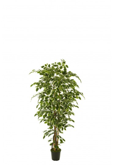 ÁRBOL FICUS NITIDA ARTIFICIAL 120CM BLANCO