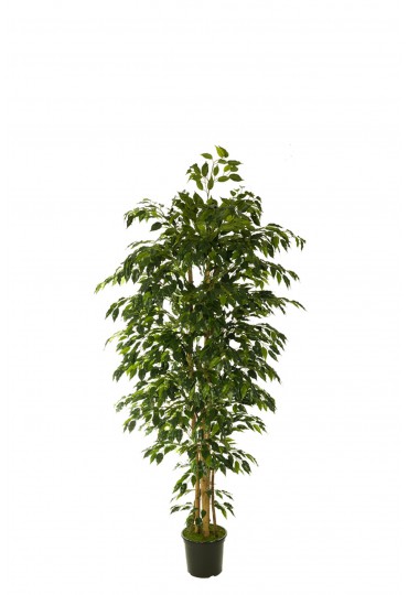 ARBOL FICUS HAWÁI ARTIFICIAL 150CM VERDE