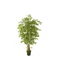 ÁRBOL FICUS HAWÁI ARTIFICIAL 150CM BLANCO