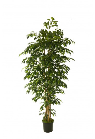 ÁRBOL FICUS HAWÁI ARTIFICIAL 180CM VERDE