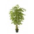 ÁRBOL FICUS HAWÁI ARTIFICIAL 180CM BLANCO