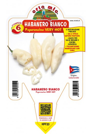 PIMIENTO HABANERO BLANCO