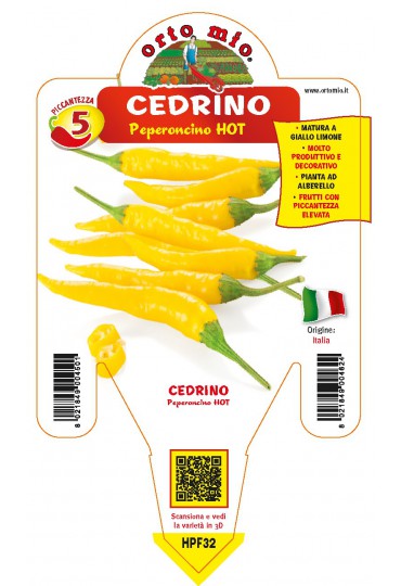 PIMIENTO CEDRINO HOT LEMON