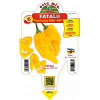 PIMIENTO FATALI AMARILLO